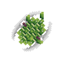 Panda Shield