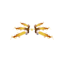 Steampunk Wings